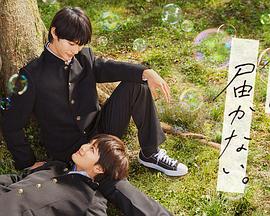 网站设计优化怎么做